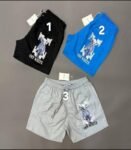 Men Swim Shorts12Ğ